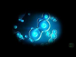 - STEM CELLS - Healing Frequencies (Improved Natural Healing Processes / Stem Cells Production)