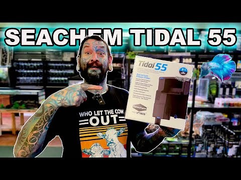 Seachem Tidal 55 Aquarium Filter Review ~ The Best Aquarium Filter?