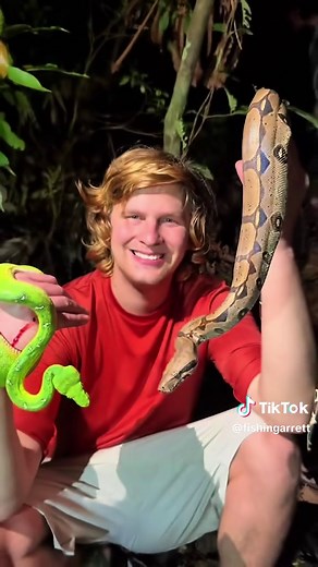 Exploring the Amazon rainforest! #animals#wildlife#snake#Jungle#adventure