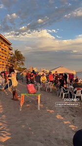 ‼️La tambora sinaloense por toda la playa de #Mazatlan #Sinaloa 🌴😎🌅 | Mazatlán Sinaloa México
