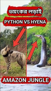 Python vs Hyena | Deadly Jungle Fight You Won’t Believe! 😱🔥 #shorts #funny #trending