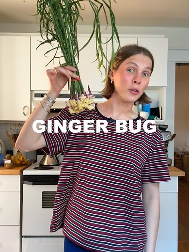 Creating a Ginger Bug from Locally Grown Ginger