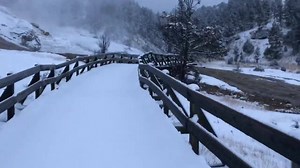First significant snowfall of the winter in Yellowstone! ❄️ | Yellowstone National Park Lodges