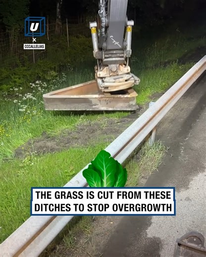 This cool machine's sole purpose is to clear the roadside 🛣️ | UNILAD Tech