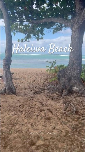 Best Beach in Hawaii