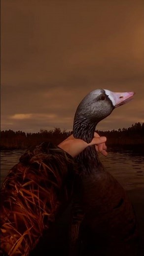 Our FIRST SPECKLEBELLY in BULT Hunting Simulator! #bulthuntingsim #bult #huntinggame