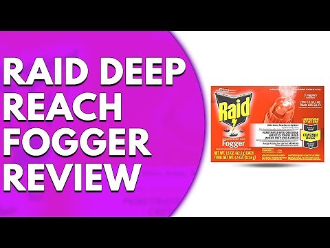 Raid Deep Reach Fogger Review: Watch Before You Buy!