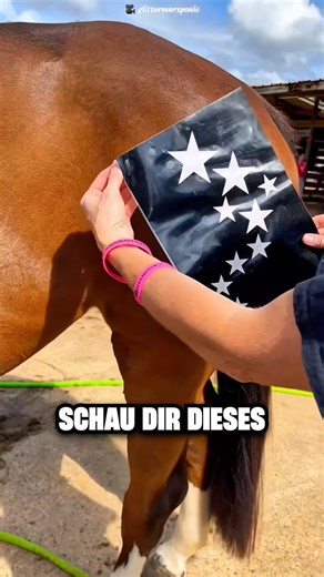 Sie Verwandelt Ihr Pferd, Um Das Rennen Zu Gewinnen 🐎✨