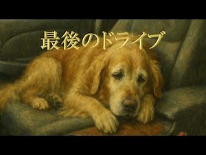 【MV】最後のドライブ |【ペットロス】愛犬・愛猫との別れを歌う涙腺崩壊ソング【LOVE Project】
