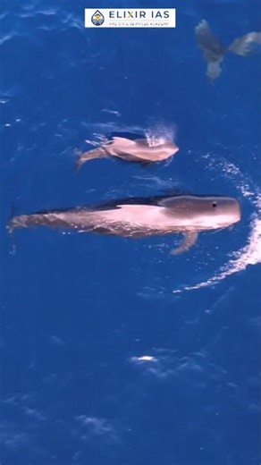 Will there be a volcanic eruption in India too? #IndiasOnlyVolcano#ActiveVolcano#AndamanIslands