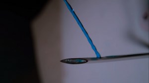 Els nois de Slow Mo observen més de prop què passa quan dispares un dard tranquil·litzador