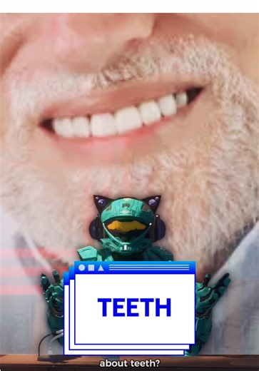 The Importance of Teeth and Their Surprising Facts