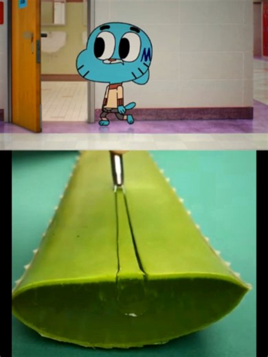 La Lección Parte 2 - El Increíble Mundo de Gumball | Episodio Completo
