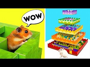 Laberintos para hámsteres con temáticas de LEGO y "MINECRAFT"