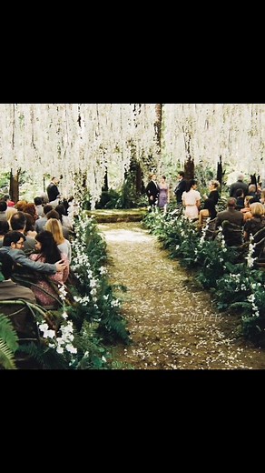 Princess and the Frog Wedding Theme Ideas