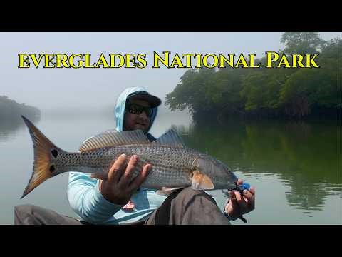 Catching Giant Redfish in Everglades National Park | Chokoloskee & 10,000 Islands kayak fishing