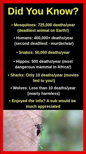 Deadliest Animals vs Reality 💀🦟