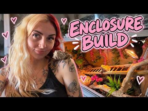 BUILD A BEARDED DRAGON ENCLOSURE WITH ME!!