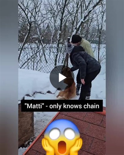 #csr #corporatesocialresponsibility #heartforstraysfoundation #winteraid #socialimpact #responsibleleadership #animalwelfare | Princess Maja von Hohenzollern | 10 comments