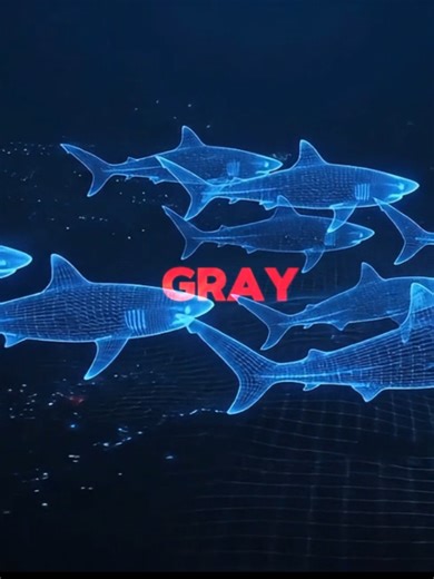 Titanic's Fate: Unanswered Questions After the Sinking