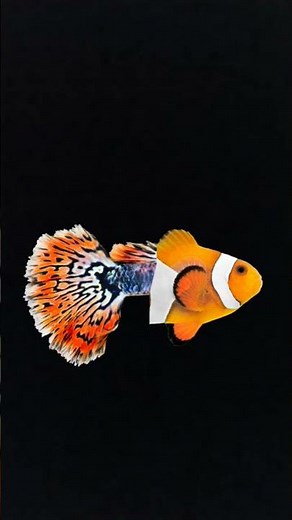 #youtubeshorts #harharmahadev #mahadev #comedy #song #viral #funny #intags #viralmusic #bhakti