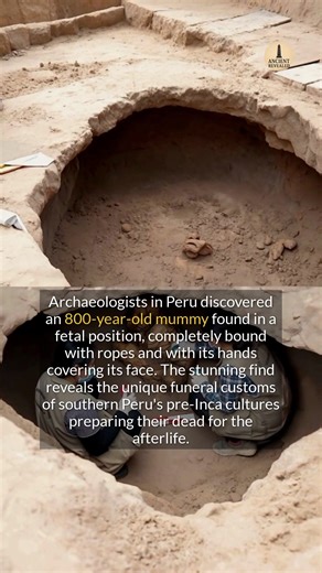 An 800-year-old mummy, hands covering its face and bound, was discovered in Peru, revealing southern Peruvian funeral traditions. Uncovered in 2021 near Lima, the remains date back approximately 800 years, placing the individual in the pre-Inca period. The mummy is believed to belong to the Ychsma culture, which dominated Peru's central coast from around 1100 CE until being absorbed by the rising Inca Empire in the late 15th century. Scholars agree that the distinct burial posture—bound with lim