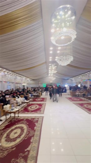 Exploring Standardbreds: The Versatile Horse Breed