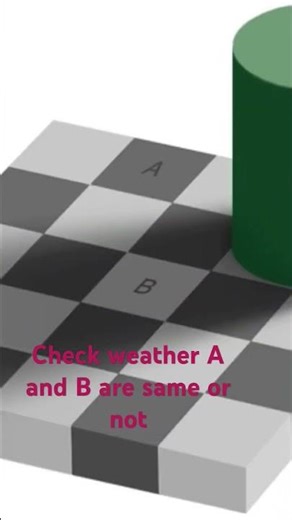 Checker shadow Illusion