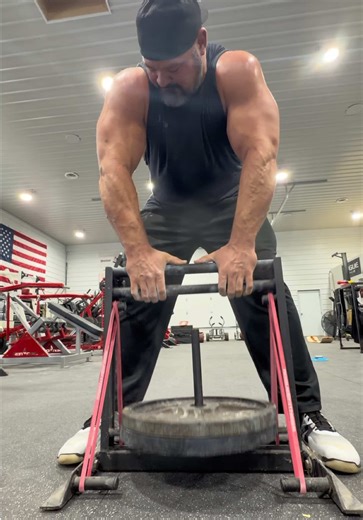 Building my grip strength 💪 #fitness #gym #gymtok #bodybuilding #grip | Grip Strength