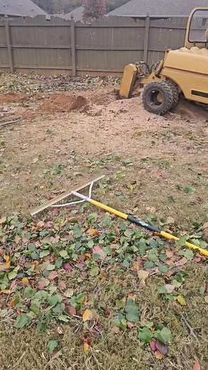 Need tree removal in the Huntsville, Al area? Give us a call or send a PM! Cuttin' Up 2564681814 | Cuttin' Up | Facebook