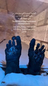 3M views · 13K reactions | The only thing that never left King...