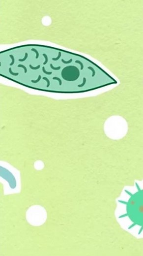 What You Never Knew About the Origins of Life on Earth #Shorts