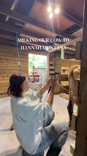 Who thinks our milk cow, Honey, will like Hannah Montana? Her calf has started nursing off her again so we are getting less which is fine! But it has made this experiment harder 😂 #milkcow #diarycow #milkingcows #homestead #cowtok