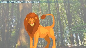 Effective Population Size | Definition, Equation & Examples - Video | Study.com