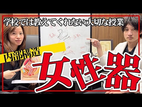【女性器のお勉強】意外と知らない女性器の内部構造！Gスポット、ポルチオってどこ？永久保存版パート２