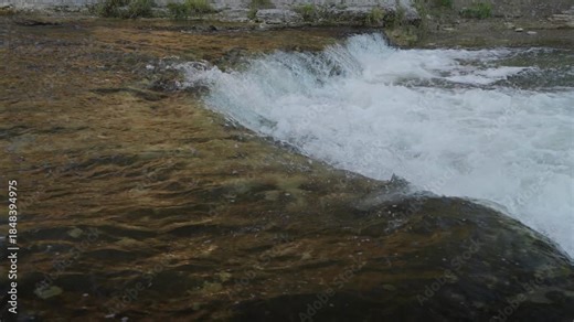 Salmon leap upstream in slow motion during Ontario's salmon run
