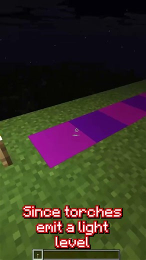 lighting torch #minecraft #fyp #shorts