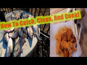 How To Cook And Clean White Bass [sand bass] Stripers And Hybrid Bass
