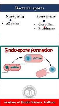 Spore forming bacteria | Microbiology | By Imran Yaseen