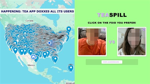 What's Going On With The Tea App Data Leak? The Tea App Map And Memes About 'Ranking Foids' On 'TeaSpill' Explained