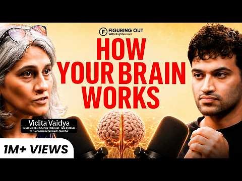 Top Brain Scientist: Billionaire Brain, Anxiety & Addictions | Vidita Vaidya | FO518 Raj Shamani