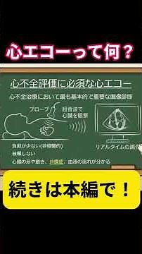 【PT•看護師必見】カルテの「心エコー」結果、ちゃんと理解して臨床してる？