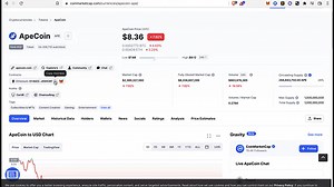 How To Add Apecoin (APE) To Metamask Wallet (Step by Step)