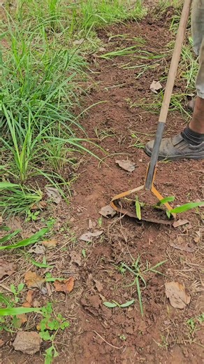 capinar se torna satisfatorio com a Enxada defer 23 cm #agro #agricultura #deferartesanatos