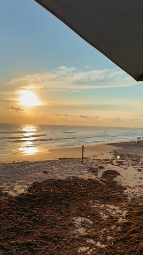 Beach Bucket on Reels