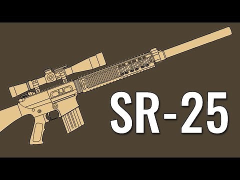 SR-25/MK11 MOD 0 - Comparison in 20 Different Games