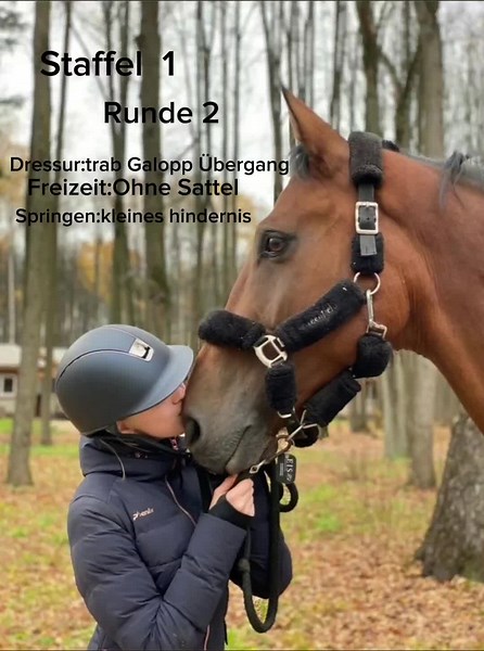 Staffel 1 Runde 2 #online #tunier#dressur ssur #springen #freizeit #fyp #fypシ #fy #pferd