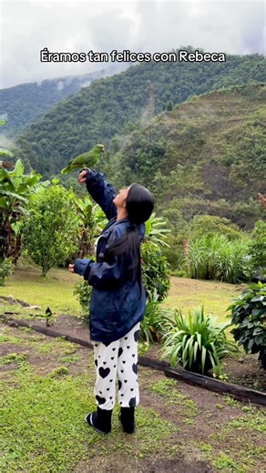 The Surprise Twist of Rebeca's Story