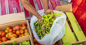 Pennsylvania Community Gardens