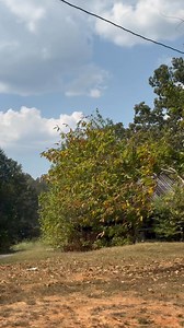 Getting a really hard late summer rain in North MS. We’ve needed it! The rain cooler temp leaves falling make this kind of rain about the best there is | Mississippi News